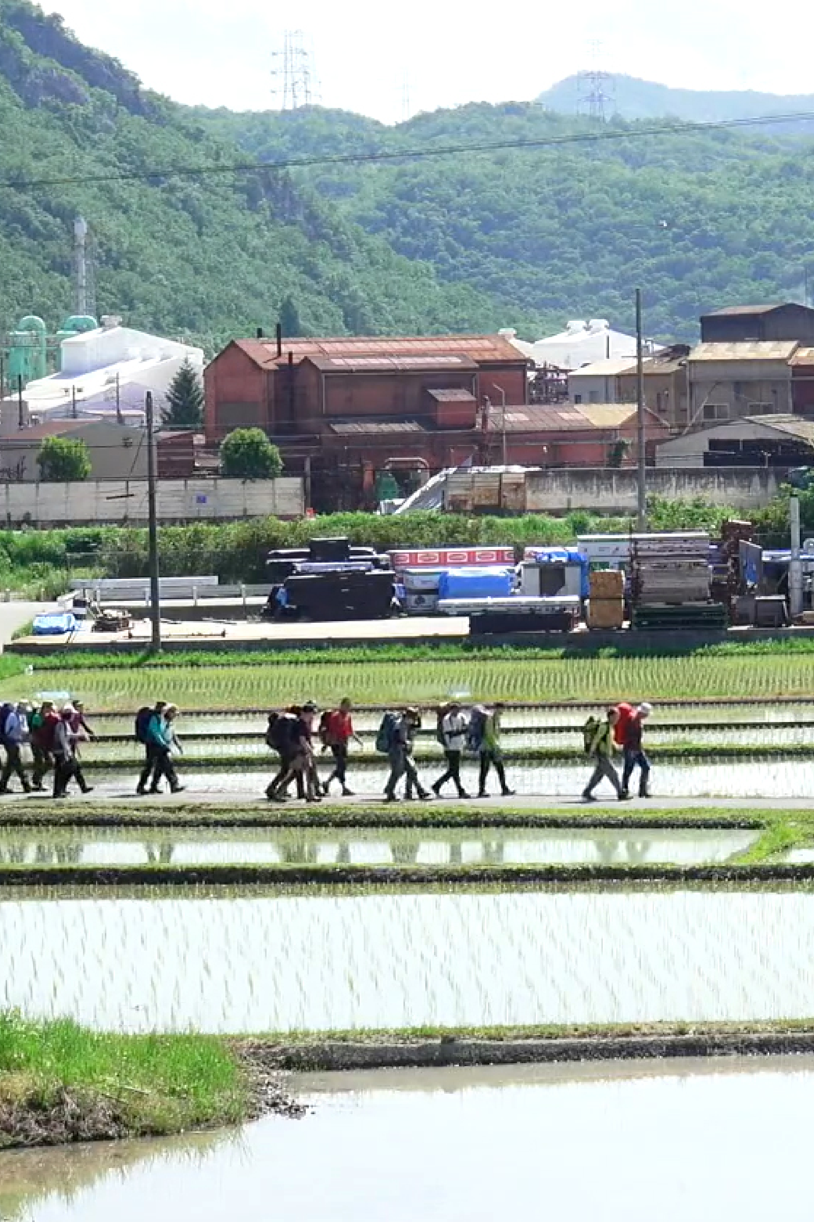 道場町の畑