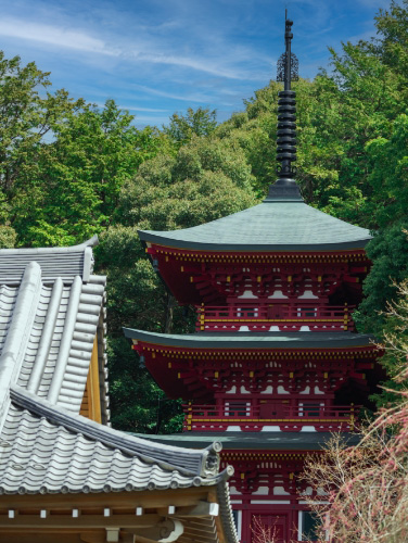 鏑射寺