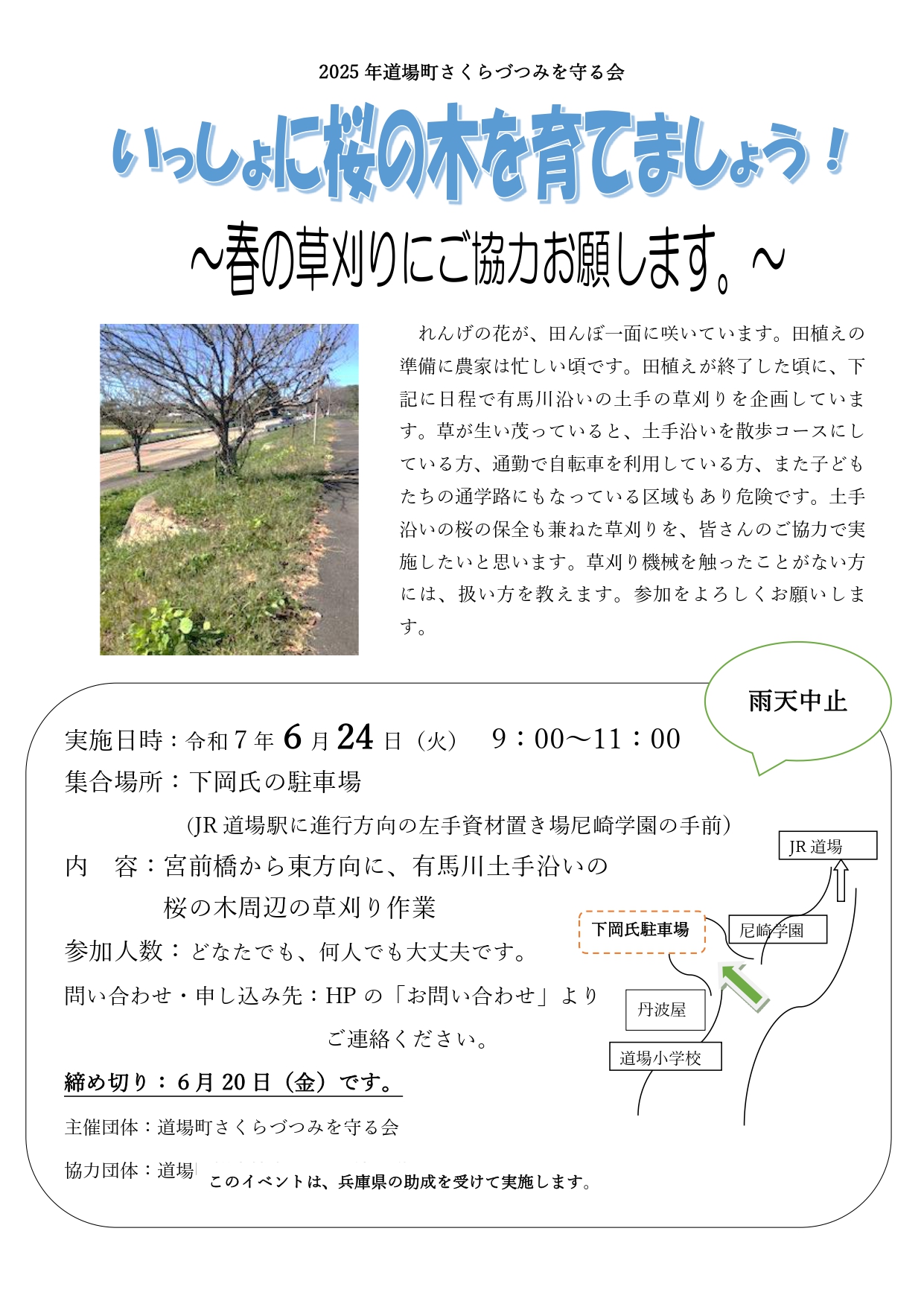 桜の草刈りについての案内画像