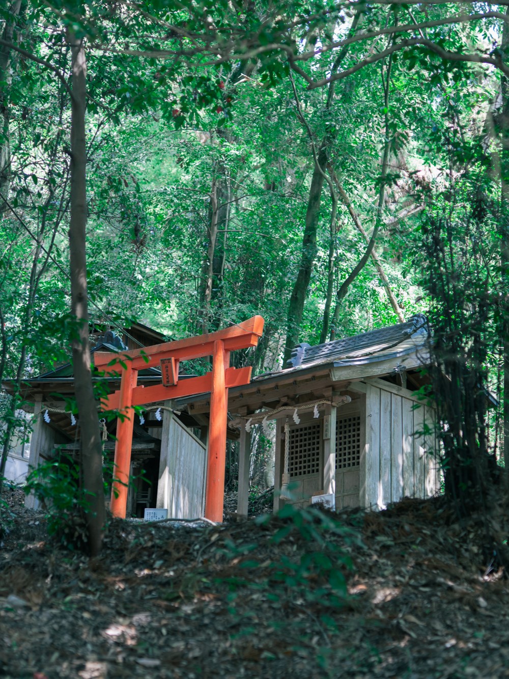 塩田八幡宮の境内