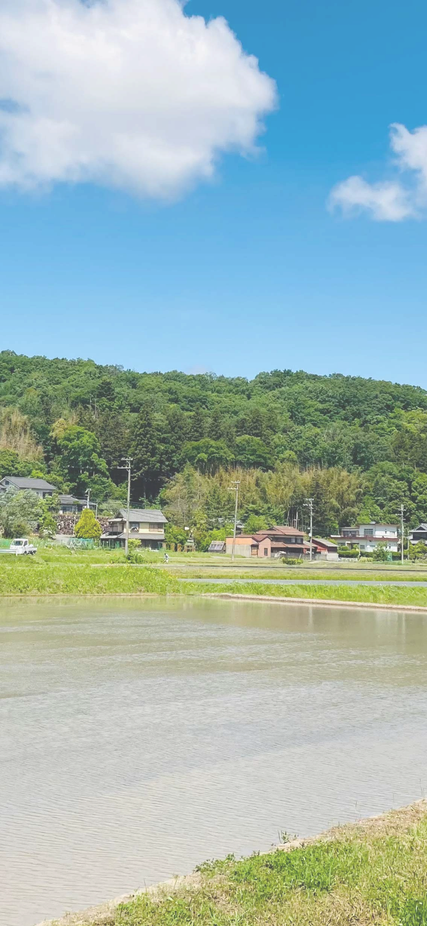 道場町の畑